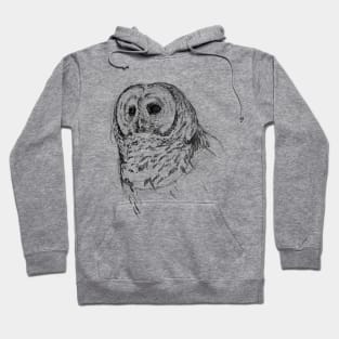 Barred Owl Art Sketch Design Hoodie